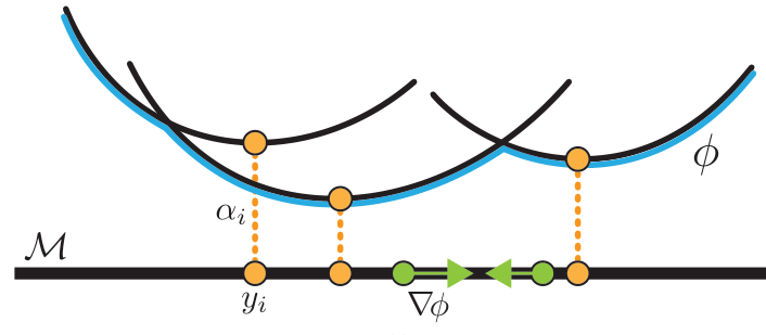 Figure 2: Illustration of a discrete $c$-concave function $\phi$ (blue) over a base manifold $\mathcal{M}$ (bold line). These consist of discrete components $\{\alpha_i, y_i\}$ and have a Riemannian gradient $\nabla \phi\in T_x\mathcal{M}$.